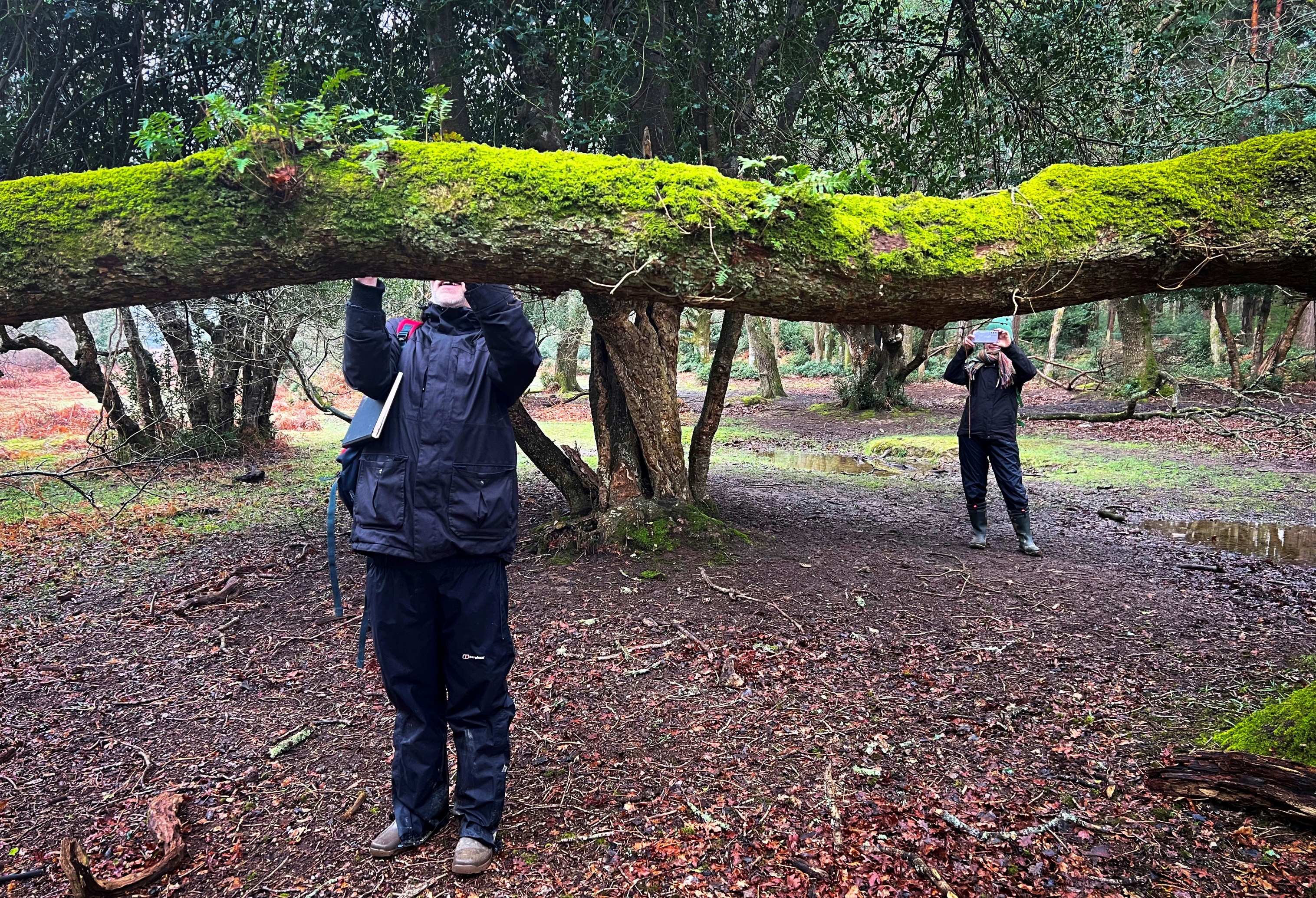 A person wearing wet weather gear is standing under a horizontal tree branch which blocks their face. Another person is behind them, holding something up which blocks their face