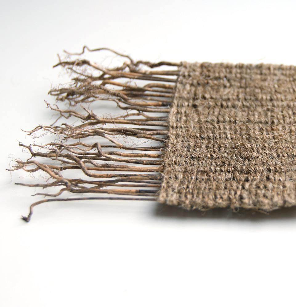 Flax (Linum usitatissimum) stems with hand processed and spun flax/linen weave.