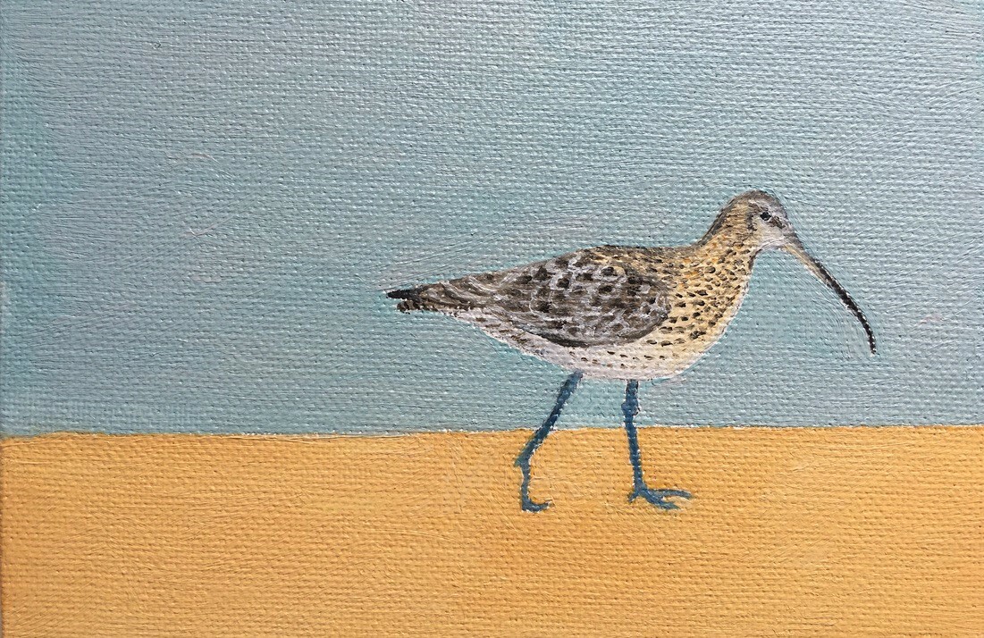 Moira Baumbach The Red List Curlew numenius arquata oil on canvas board 15 x 10cm