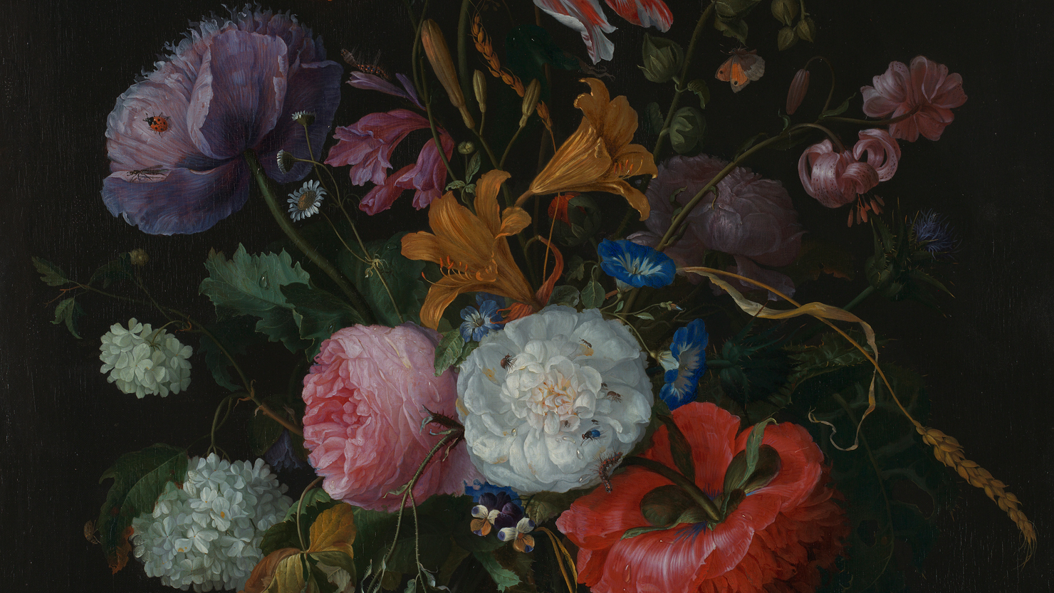 Dutch Flowers Header