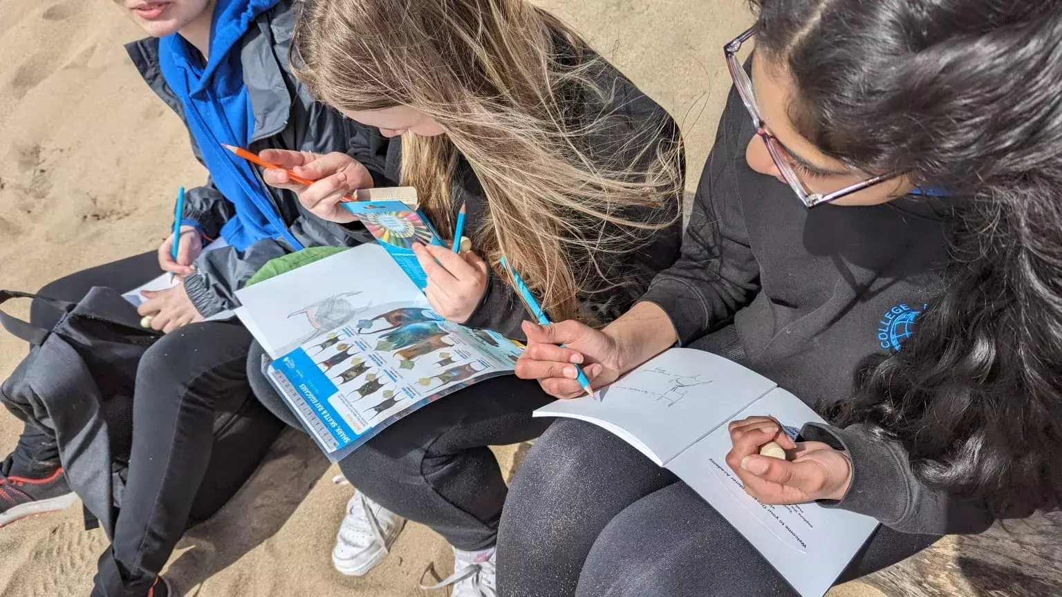 Children sketching outdoors