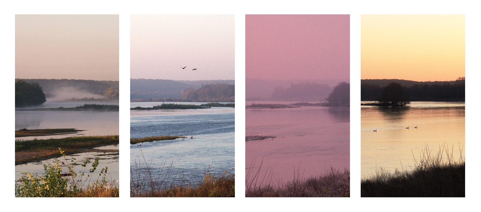 Loire West Pan