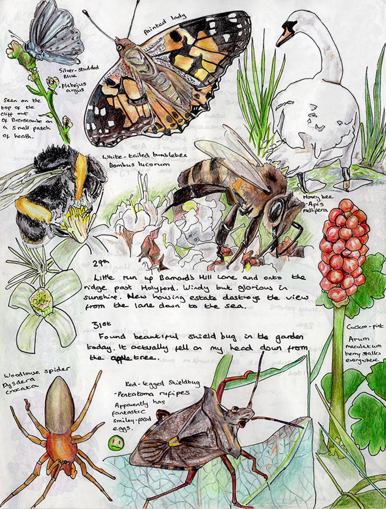 Nature journal 3