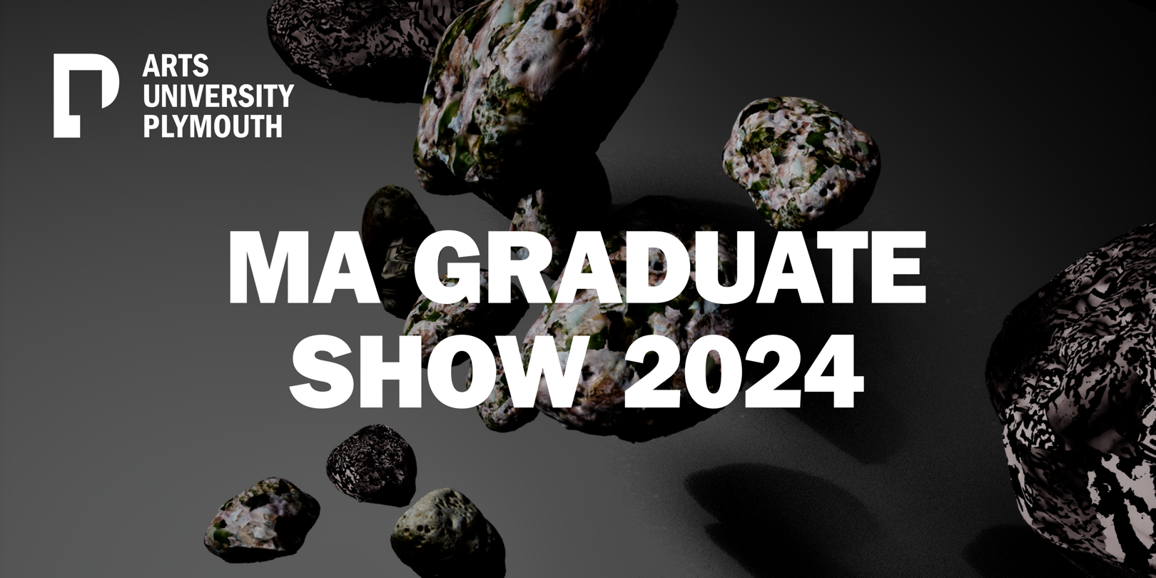 ARTS UNIVERSITY PLYMOUTH MA GRADUATE SHOWS 2024