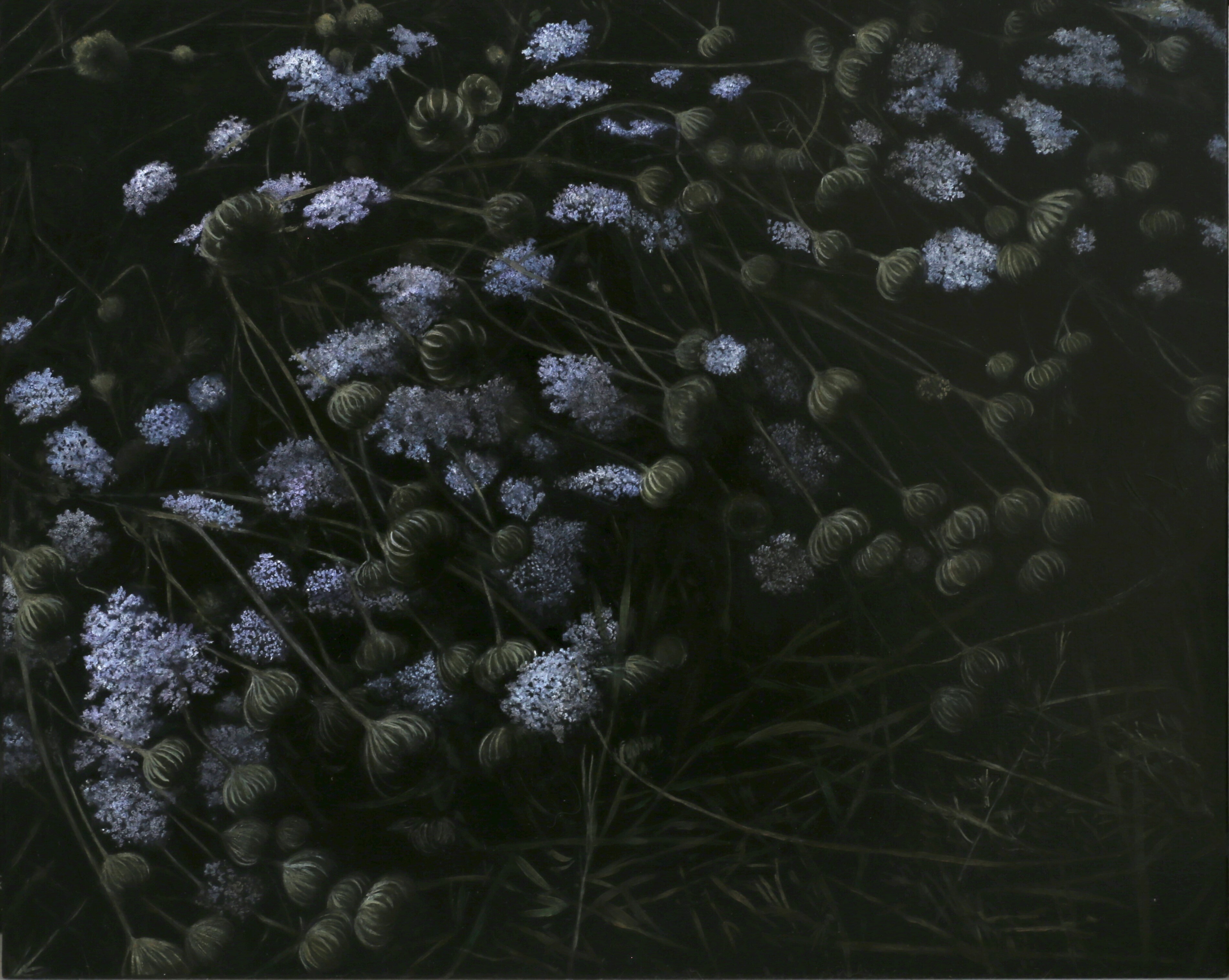 Wildflowers Night III oil on panel 2024