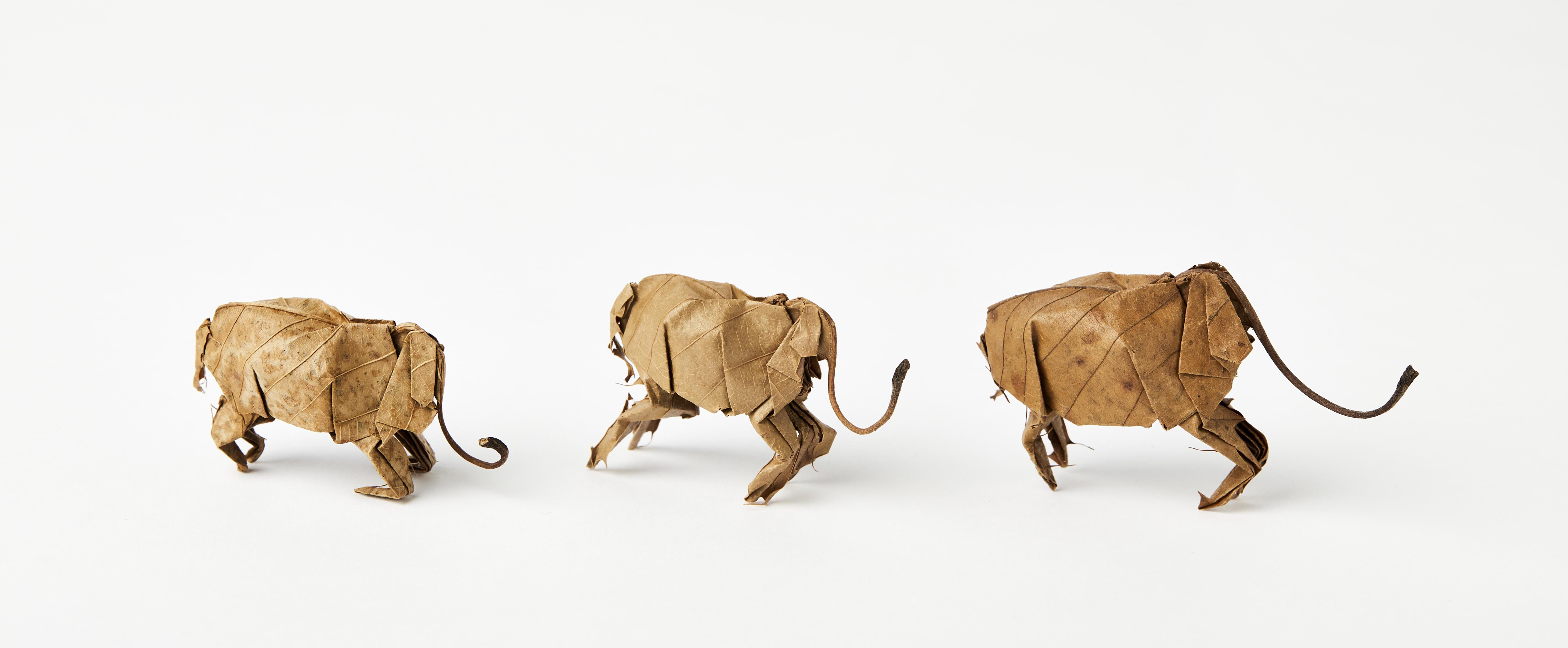 Yoshihiro Watanabe Elephants set 2 2021 Leaf sculpture Each piece is approx 5cm 2 inches Photo by Laura Hutchinson crop