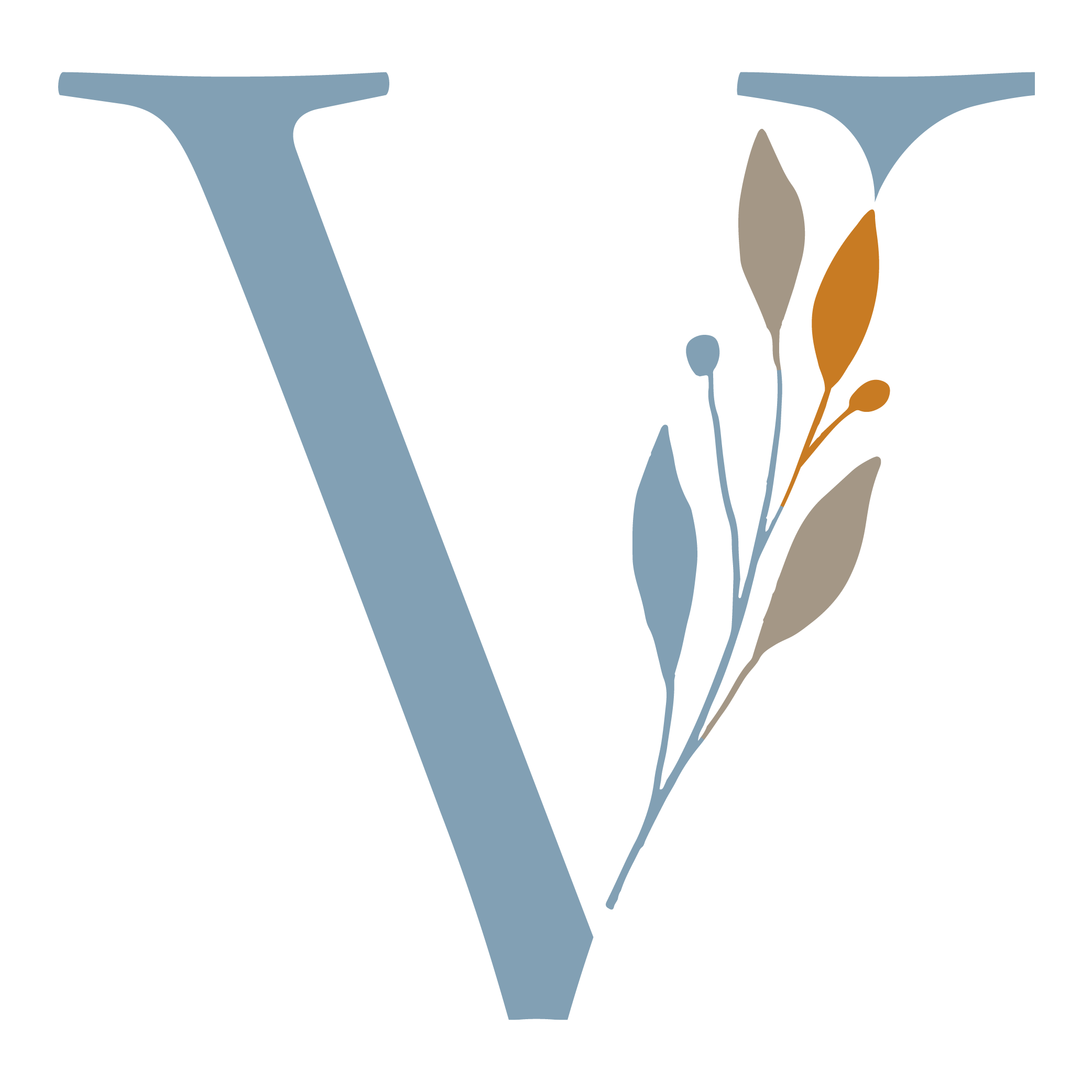 Vayas Residences Logo