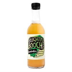 Bramley Elderflower Kombucha