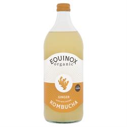 Ginger Kombucha