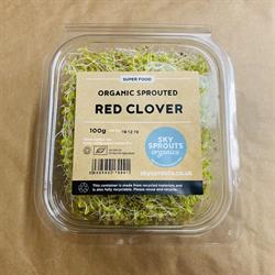 Organic Sprouted Red Clover