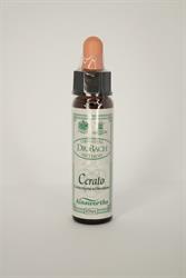 Cerato bach Flower Remedy