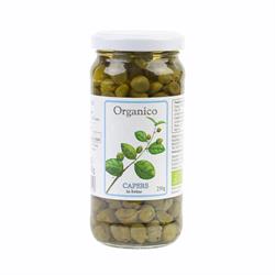 Org Capers in Brine