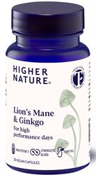 Lions Mane and Ginkgo