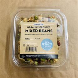 Organic Sprouted Mixed Beans