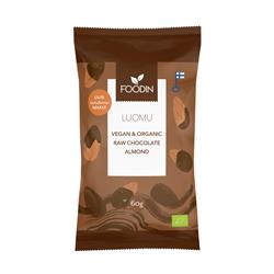 Chocolate Coated Almonds