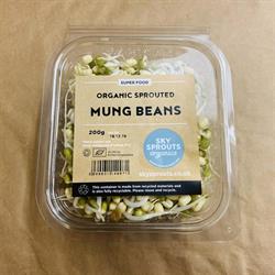 Organic Sprouted Mung Beans