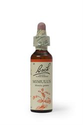 Bach Original Flower Mimulus