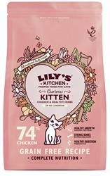 Cat Kitten Dry