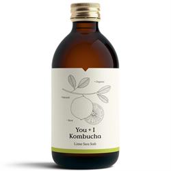 Kombucha - Lime Sea Salt