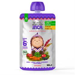 6m+ Quinoa Yummy Purple