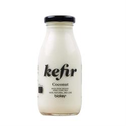 Coconut Kefir