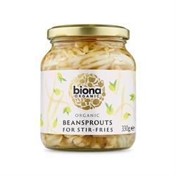 Organic Bean Sprouts