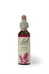 Bach Original Flower Pine