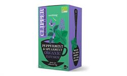 Peppermint and Spearmint Infus