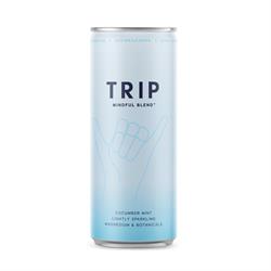 Mindful Blends Cucumber Mint