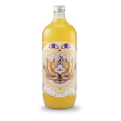 Karma Kombucha Ginger Trilogy