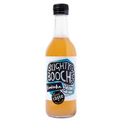 Original Kombucha