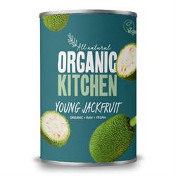Organic Young Jackfruit