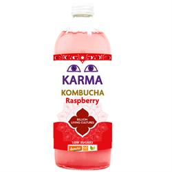 Kombucha Raspberry
