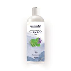 Shampoo Original