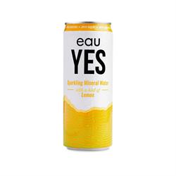 Lemon Sparkling Water