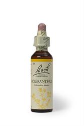 Bach Original Scleranthus