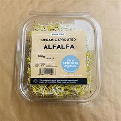 Organic Sprouted Alfalfa