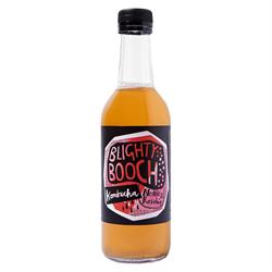 Nettle & Rosehip Kombucha