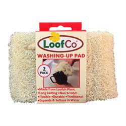 Washing-Up Pad 2-Pack