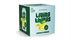 Lemon & Ginger Soda