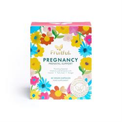 Pregnancy Prenatal Support