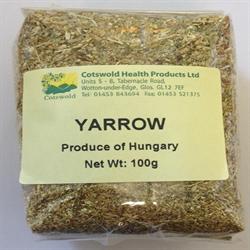 Yarrow Tea