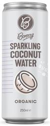Sparkling Coconut Water - Orig