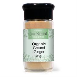 Org Ginger Ground Jar