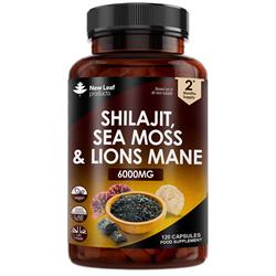 Shilajit Sea Moss & Lions Mane