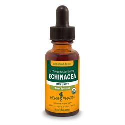 Echinacea Alcohol-Free