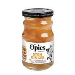 Stem Ginger in Syrup