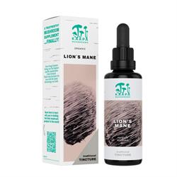 Lion's Mane Mushroom Org Tinc