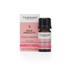 Rose Absolute