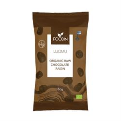 Foodin Raw choc raisin
